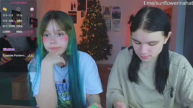 812sunflowerinahat online show from 12-15-24, 09:03