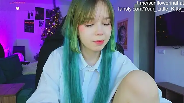 812sunflowerinahat online show from 12-20-24, 09:32