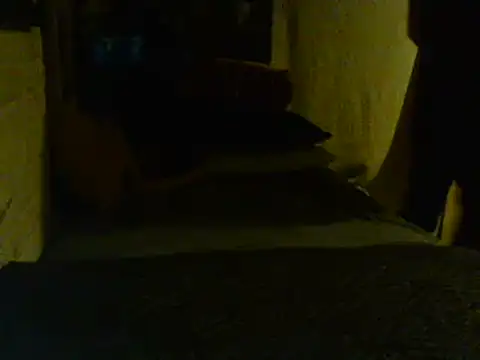 Snapshot of Gman143187 chatting on 02-02-25, 09:08 Gman143187 online show from 02-02-25, 09:08