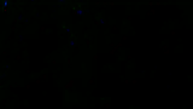 Snapshot of Gman143187 chatting on 03-13-25, 09:43 Gman143187 online show from 03-13-25, 09:43