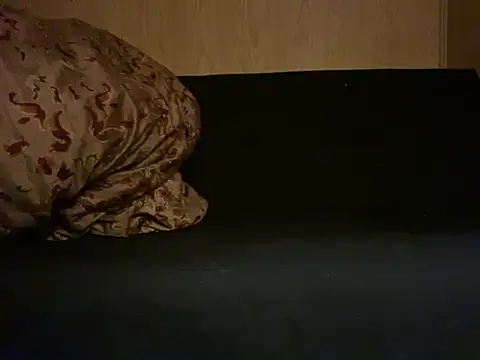 Snapshot of Gman143187 chatting on 09-10-25, 04:01 Gman143187 online show from 09-10-25, 04:01