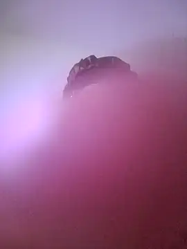 Snapshot of giuliana_andrade chatting on 01-22-25, 10:59 giuliana andrade online show from 01-22-25, 10:59