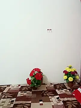 Saroj-Shah online show from 10-11-25, 03:50