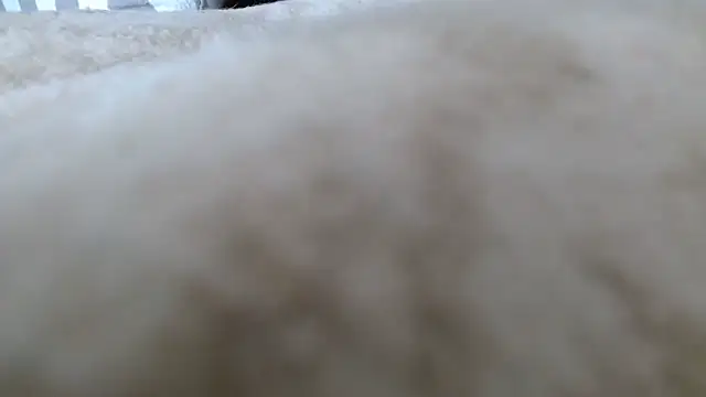 Heracles00 online show from 10-13-25, 12:49