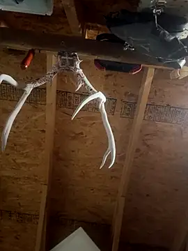 Snapshot of dcockell chatting on 10-23-25, 04:01 dcockell online show from 10-23-25, 04:01