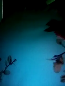 gunjan22 online show from 12-31-24, 05:22