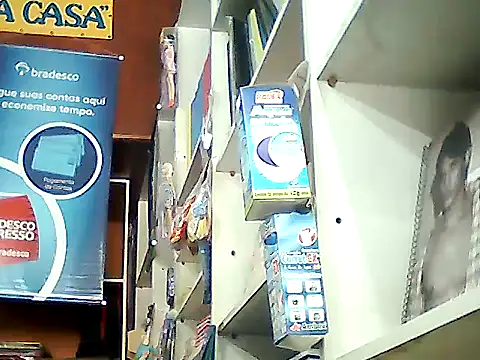 barboza991 online show from 01-14-25, 05:34