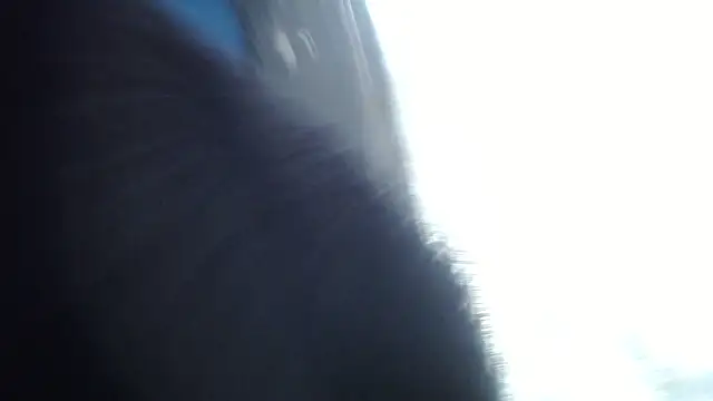 esjrobles online show from 07-31-26, 03:55