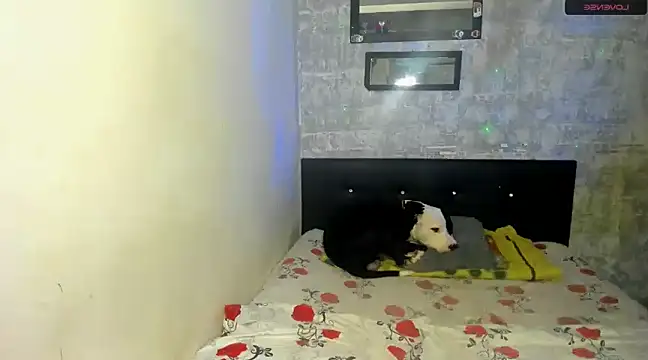 Snapshot of danna_sofiah chatting on 02-18-25, 03:32 danna sofiah online show from 02-18-25, 03:32