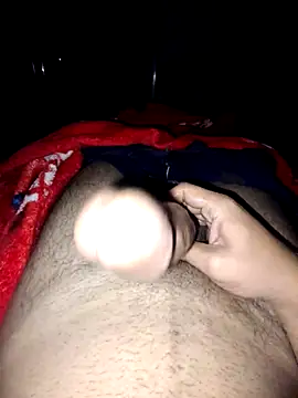 nidansohib1230 online show from 11-04-25, 04:55