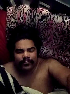 Snapshot of Brickstash chatting on 11-30-25, 11:25 Brickstash online show from 11-30-25, 11:25