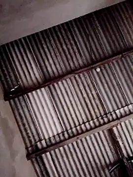 Snapshot of Viny459 chatting on 12-14-25, 08:02 Viny459 online show from 12-14-25, 08:02