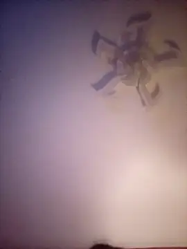 Fiesty findom40 online show from 01-10-26, 02:35