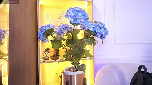 elasummer online show from 12-20-25, 12:12