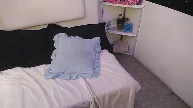 Snapshot of palmer_mIix chatting on 12-27-24, 01:07 palmer mIix online show from 12-27-24, 01:07