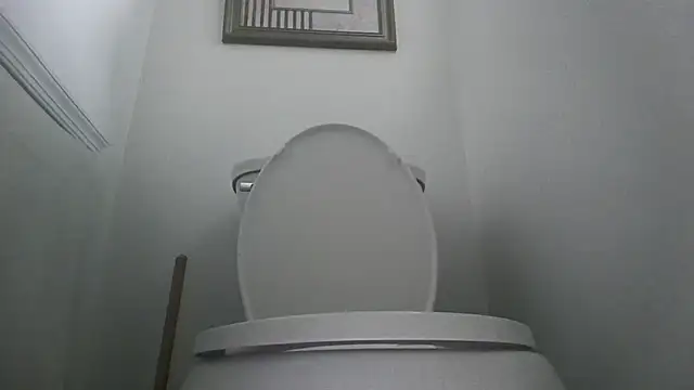 you like my chocolate101 online show from 10-11-25, 08:40