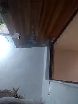 Snapshot of iDogrose21 chatting on 12-15-25, 03:38 iDogrose21 online show from 12-15-25, 03:38