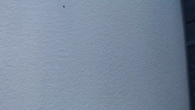 Hanna Fox 69 online show from 02-15-25, 06:02