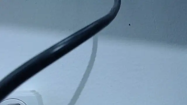 Hanna Fox 69 online show from 02-28-25, 07:37