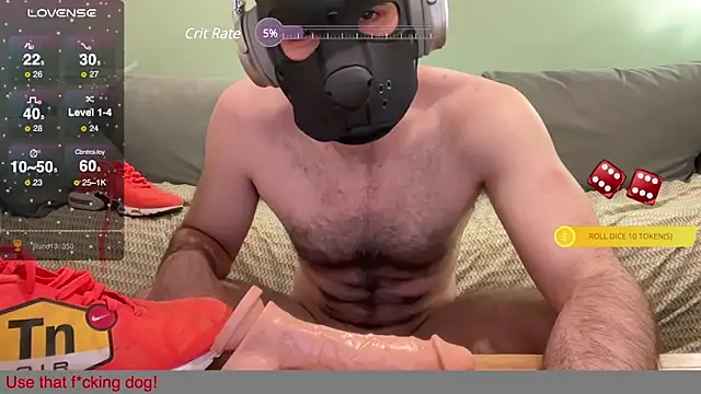 Snapshot of FrenchCamDog chatting on 12-08-24, 01:14 FrenchCamDog online show from 12-08-24, 01:14