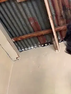 Snapshot of SEXY_TOKYOxxx chatting on 10-22-25, 06:24 SEXY TOKYOxxx online show from 10-22-25, 06:24