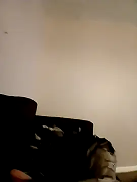 Snapshot of willywonka7793 chatting on 12-16-24, 05:33 willywonka7793 online show from 12-16-24, 05:33