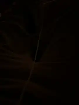 themasteer69 online show from 01-17-26, 08:45