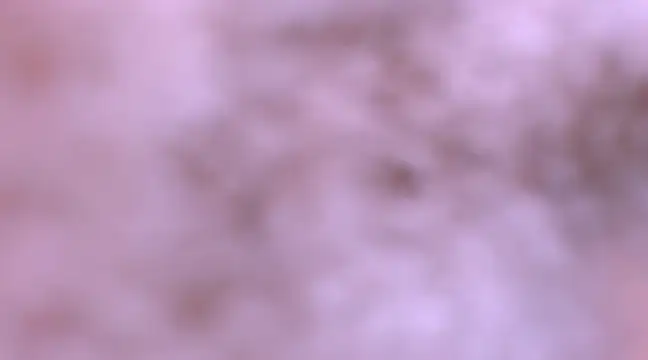 Snapshot of bubble_red chatting on 02-08-25, 04:47 bubble red online show from 02-08-25, 04:47