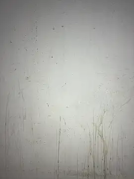 poision51 online show from 01-27-25, 06:30