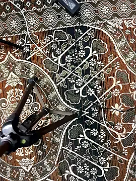 poision51 online show from 01-08-26, 04:31