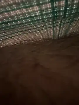 Snapshot of studdboyy chatting on 12-17-25, 03:34 studdboyy online show from 12-17-25, 03:34