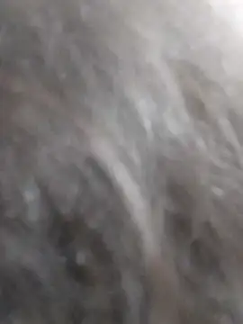 kobita Mohali online show from 09-14-25, 08:13