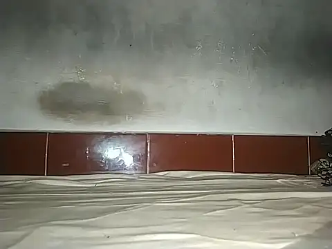 Snapshot of alansteer chatting on 10-21-25, 08:15 alansteer online show from 10-21-25, 08:15