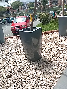 Lexwelll online show from 03-16-25, 11:05