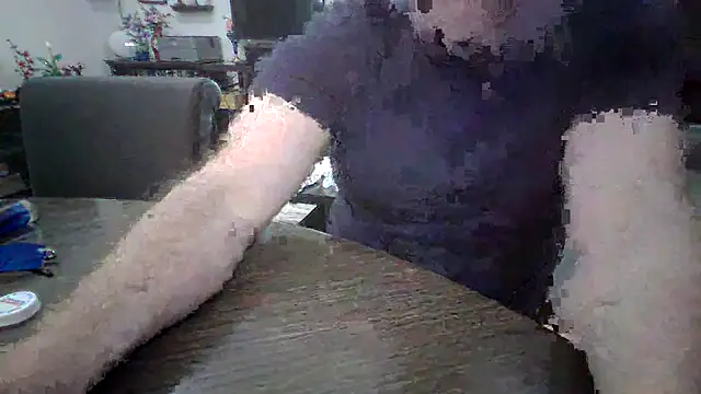 LARawAlways2 online show from 02-26-26, 07:02