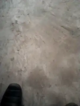 PracticalGum40 online show from 12-18-24, 04:49