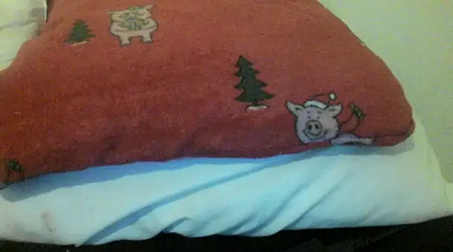 bunnyamy online show from 12-05-24, 06:00