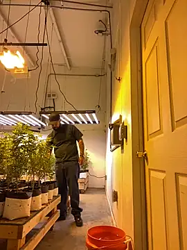 Snapshot of jr91esl chatting on 03-02-25, 05:14 jr91esl online show from 03-02-25, 05:14