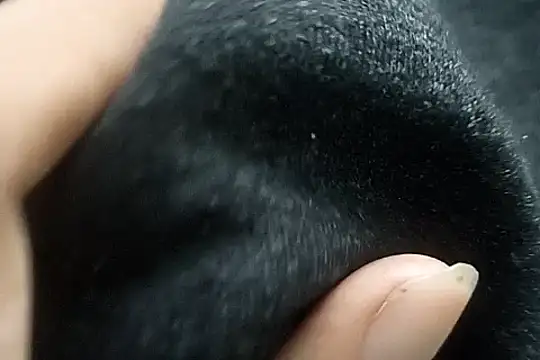 Telugu sollakaya online show from 12-02-24, 06:43