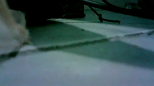 patynalgona online show from 10-18-25, 11:00