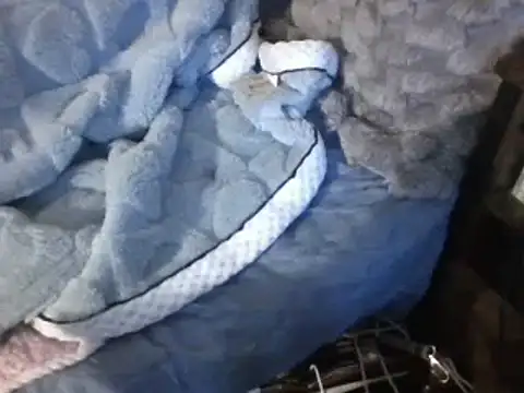 housewife shantie online show from 03-07-25, 06:54