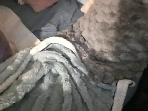 housewife shantie online show from 03-15-25, 08:04