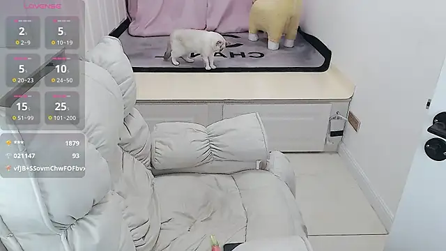 Snapshot of Tang-1314 chatting on 02-05-25, 05:30 Tang-1314 online show from 02-05-25, 05:30