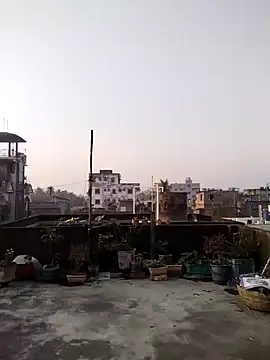 Jeetshine 1234 online show from 12-12-24, 01:32