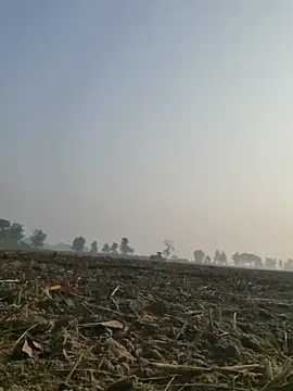 imissyoumylove14 online show from 12-10-24, 03:09