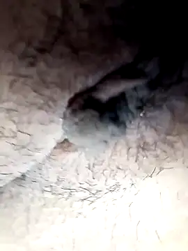 lemon69Reo online show from 02-26-25, 09:48