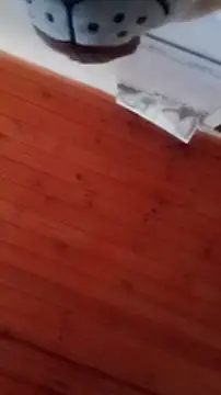 Darly Gomez online show from 12-31-24, 04:46