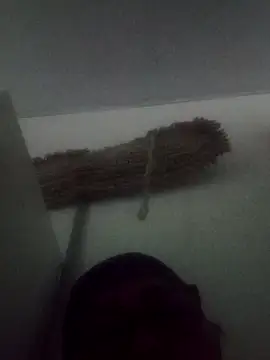 Darly Gomez online show from 02-09-25, 05:33