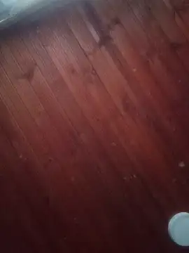 Darly Gomez online show from 03-03-25, 10:10