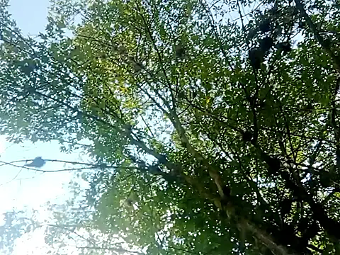 Darly Gomez online show from 03-15-25, 03:27